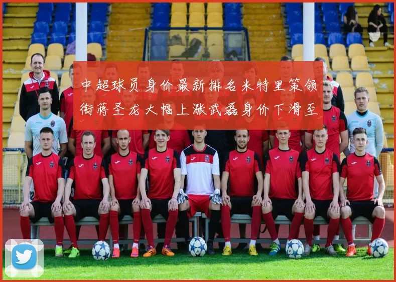 中超球员身价最新排名米特里策领衔蒋圣龙大幅上涨武磊身价下滑至50万