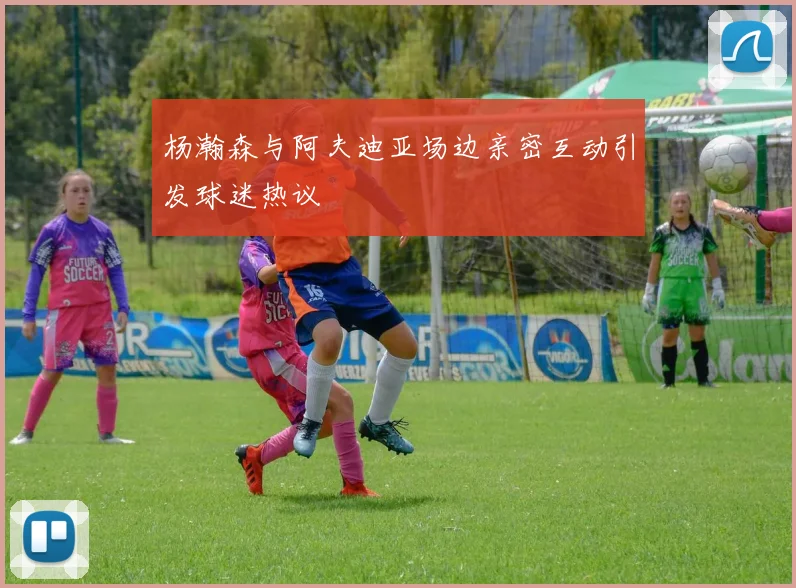 杨瀚森与阿夫迪亚场边亲密互动引发球迷热议