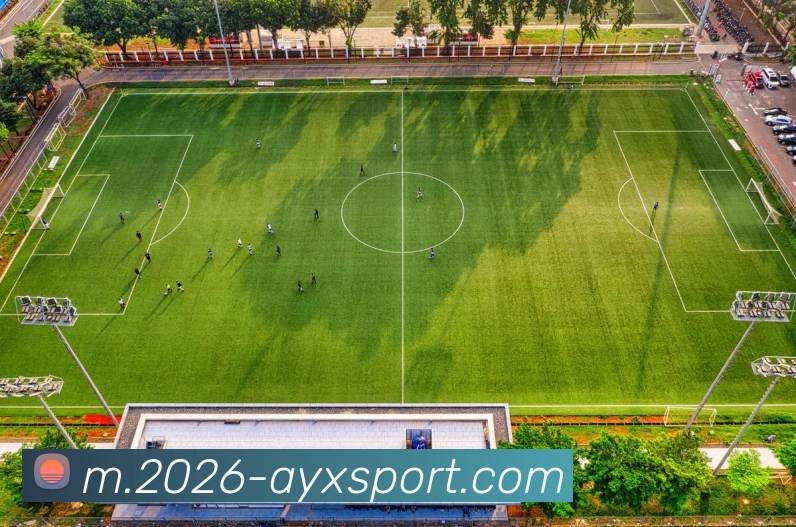 爱游戏体育品牌故事